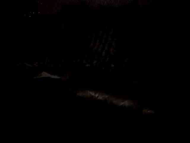 fetishslut4u fetishslut4u