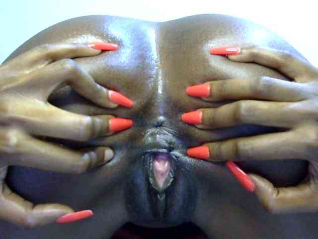 SPRINGCHICKEN96 SPRINGCHICKEN96