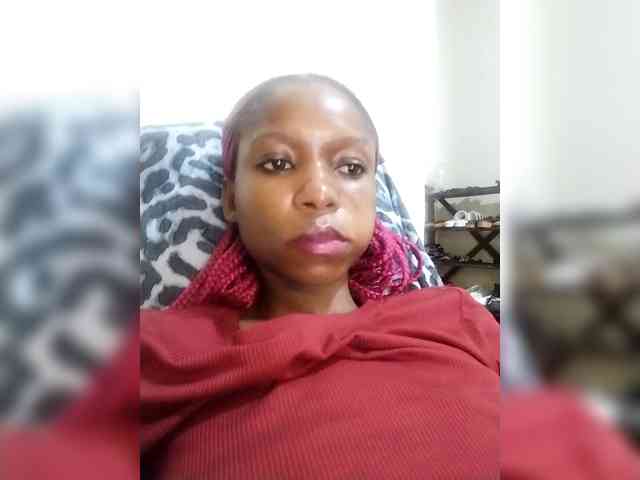 SPRINGCHICKEN96 SPRINGCHICKEN96