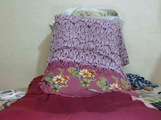 SPRINGCHICKEN96 SPRINGCHICKEN96