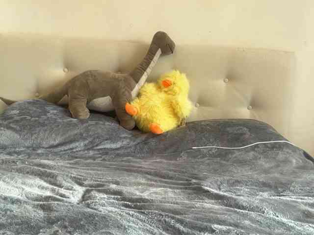 RosemarieKopinski webcam