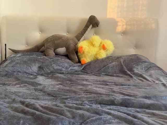 RosemarieKopinski webcam