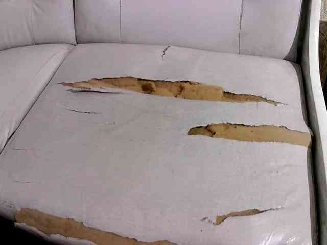 HowlClaw1994 HowlClaw1994