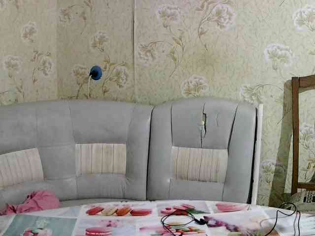 HowlClaw1994 Live Webcam on BongaCams