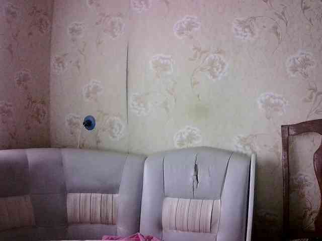 HowlClaw1994 HowlClaw1994