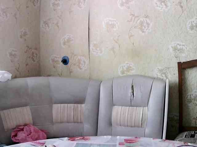 HowlClaw1994 HowlClaw1994