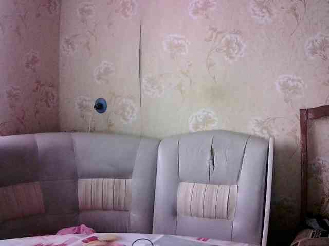 HowlClaw1994 HowlClaw1994