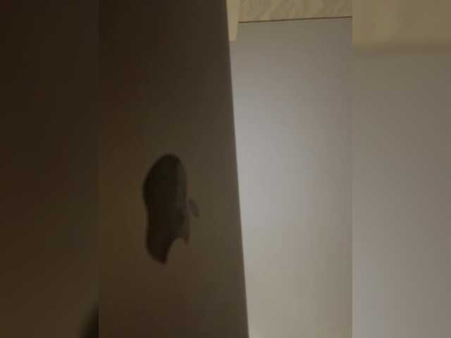 go to chat with SAINTDP