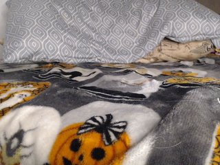 CarluyMessy Porn Show