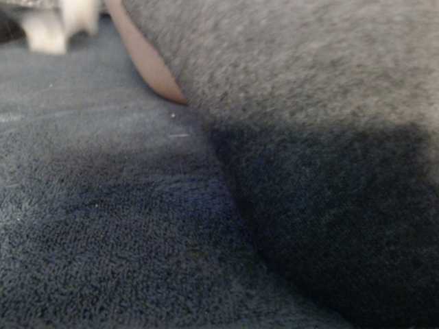 CarluyMessy's BongaCams show and profile