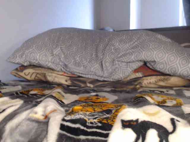 CarluyMessy CarluyMessy