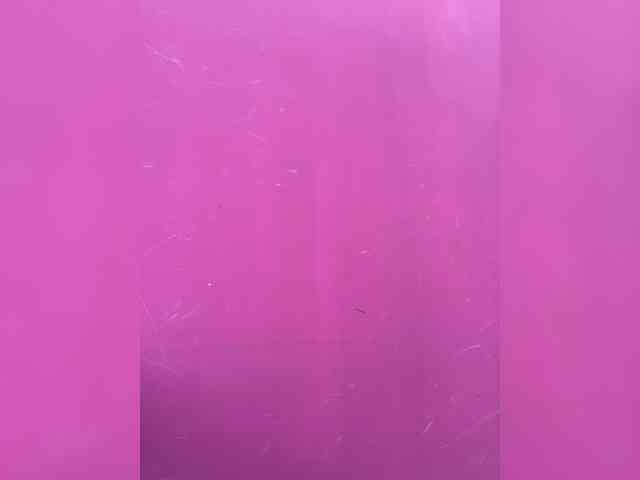 -SweetCouple-1 webcam