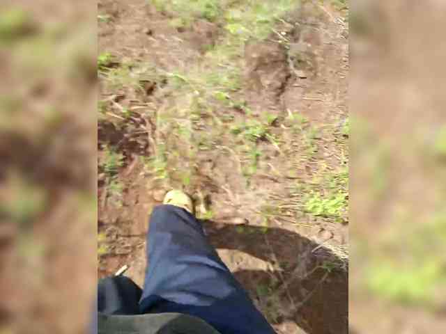 Pinkiechris22 Pinkiechris22