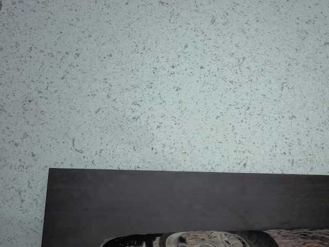 Abby666's BongaCams show and profile