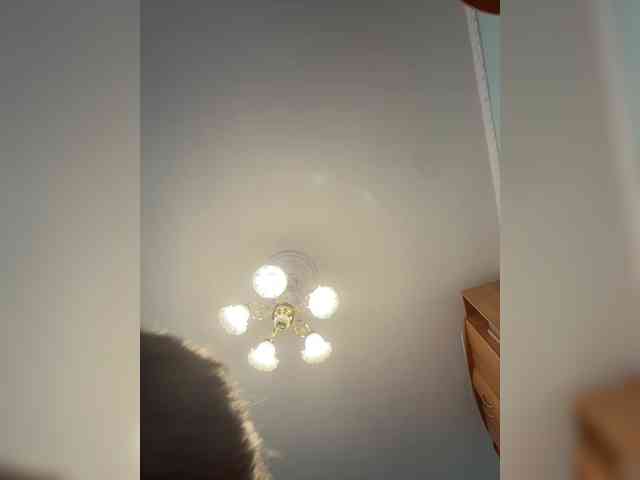 BIGTITTS-JANE webcam