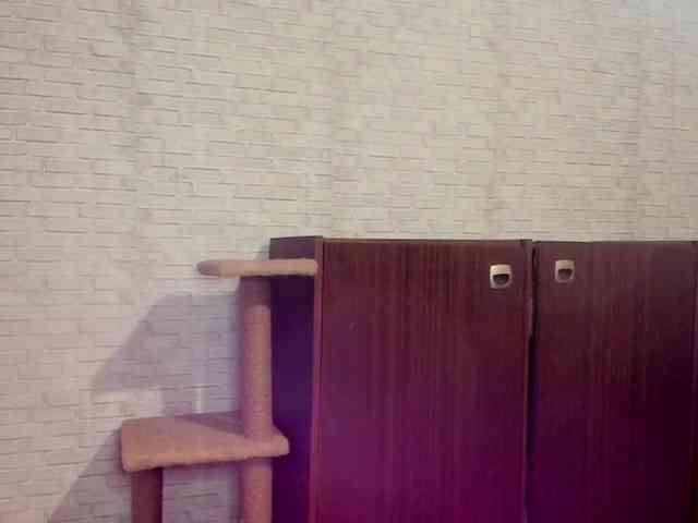 KrystinPalamara webcam