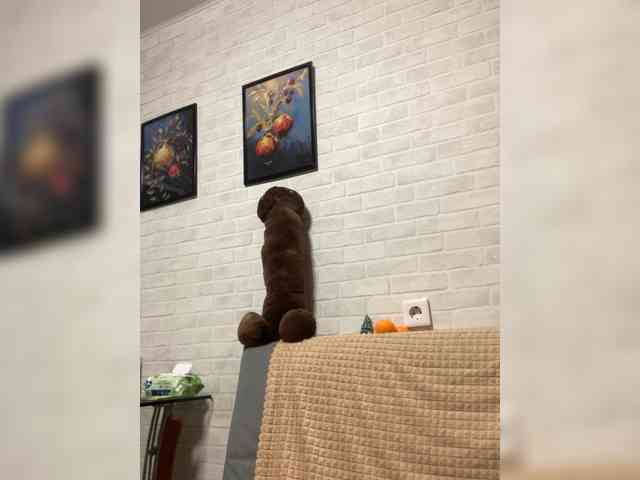 sexyfrayyy sexyfrayyy