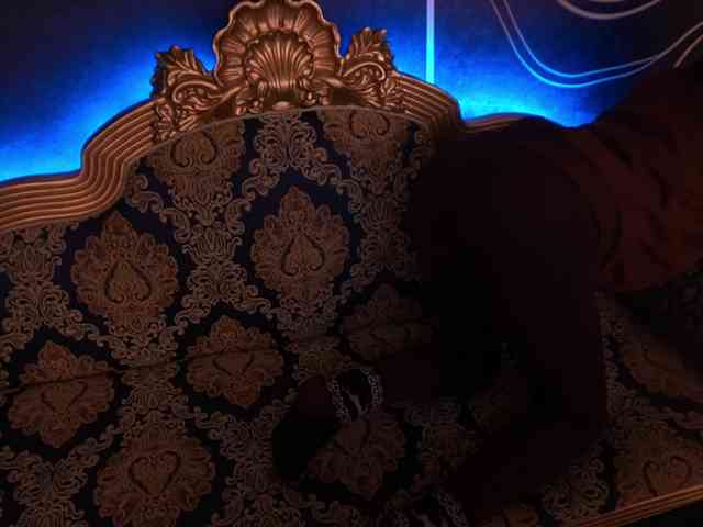 SeraphinaVolt webcam