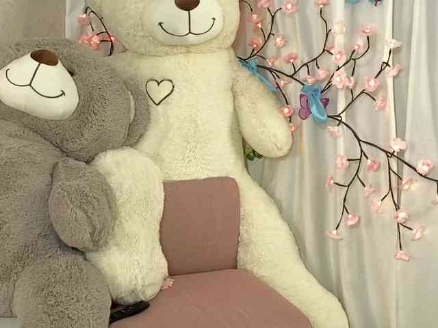 ViollaDream ViollaDream