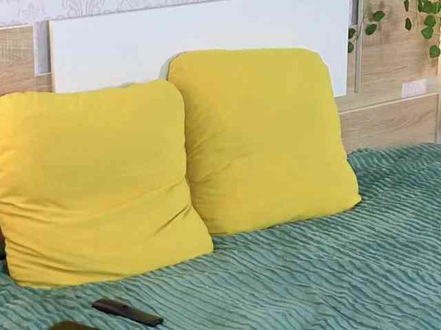 ViollaDream ViollaDream