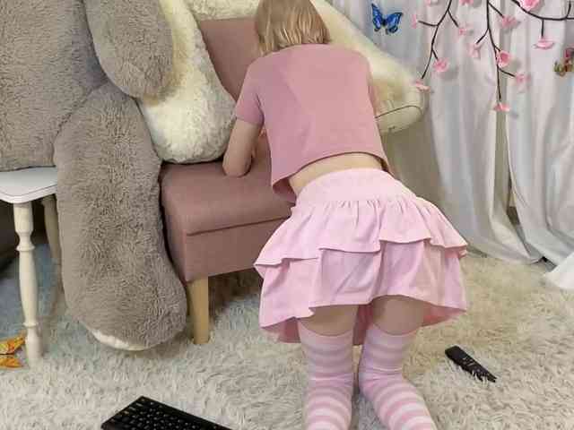 ViollaDream ViollaDream