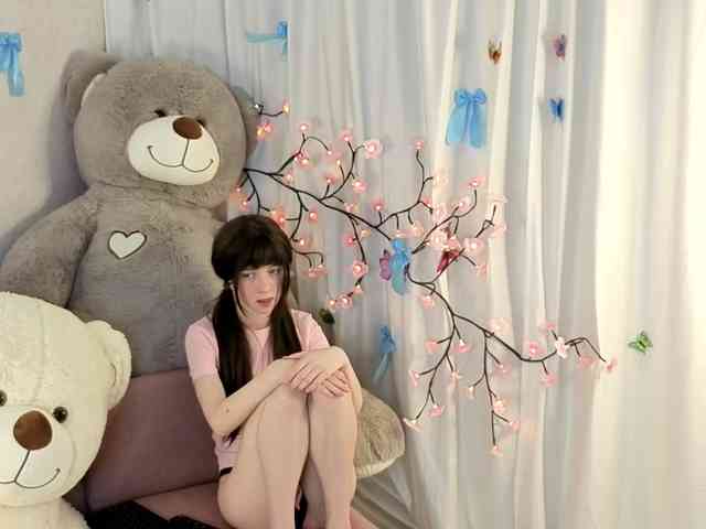 ViollaDream ViollaDream