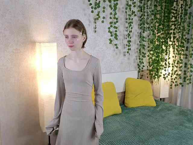 ViollaDream ViollaDream