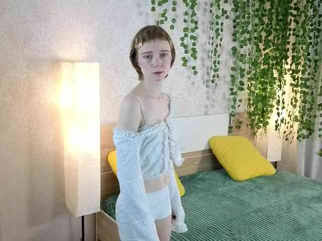 ViollaDream ViollaDream