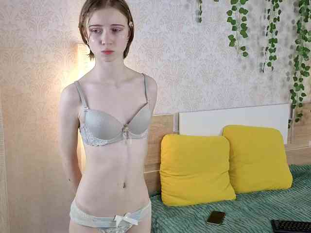 ViollaDream ViollaDream