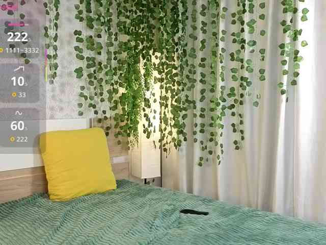 ViollaDream ViollaDream