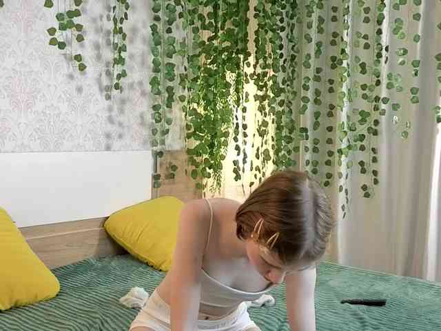 ViollaDream ViollaDream