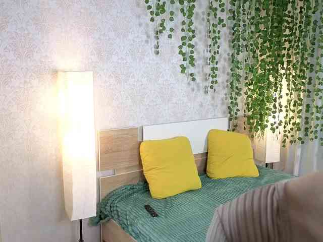 ViollaDream ViollaDream