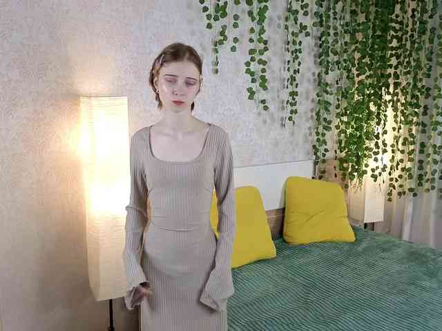 ViollaDream ViollaDream