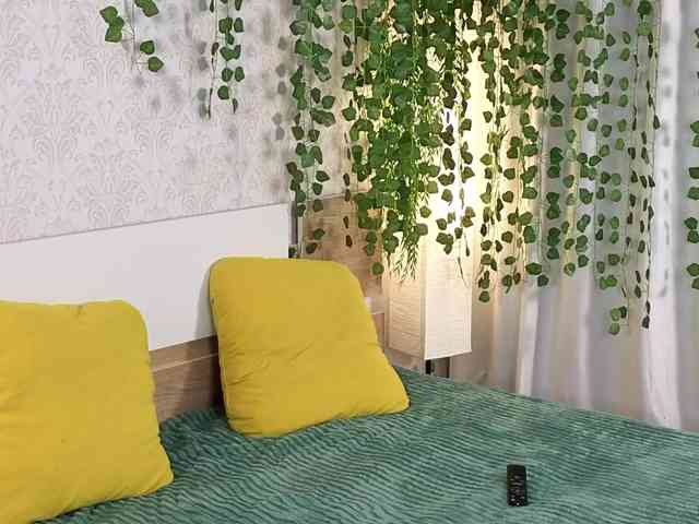 ViollaDream ViollaDream