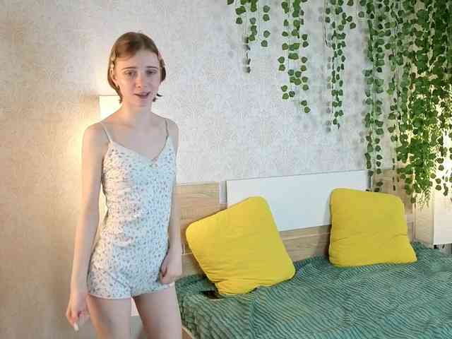 ViollaDream ViollaDream