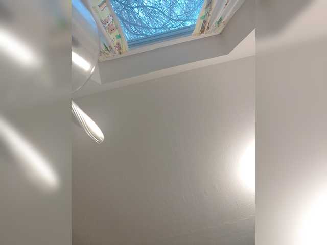 Preview of eulasimmons