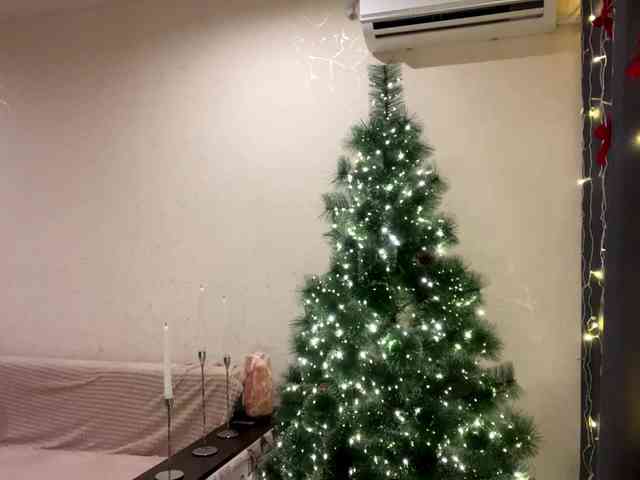 VictoriaMist VictoriaMist