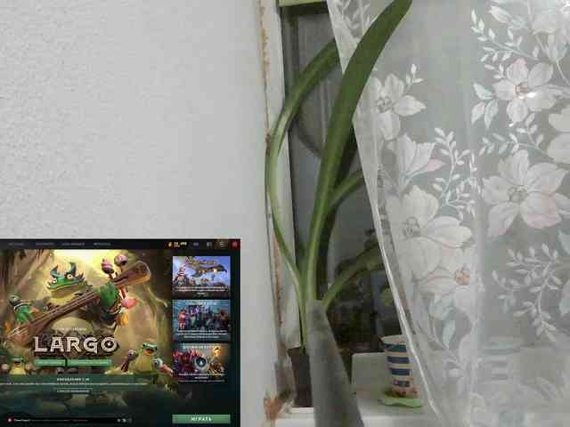 KittyMiracle KittyMiracle