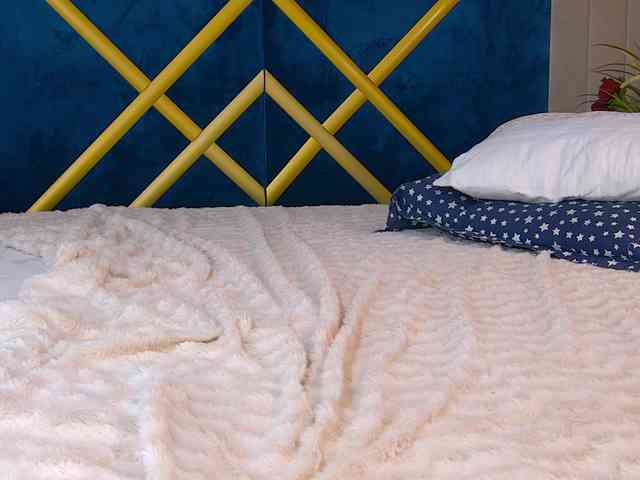 JasminBunny JasminBunny