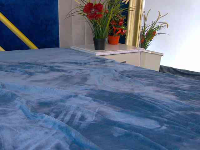 JasminBunny JasminBunny