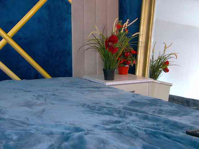 JasminBunny JasminBunny