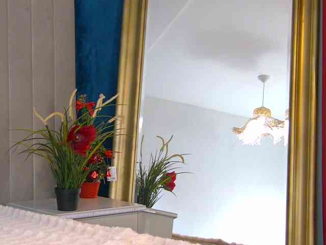 JasminBunny JasminBunny