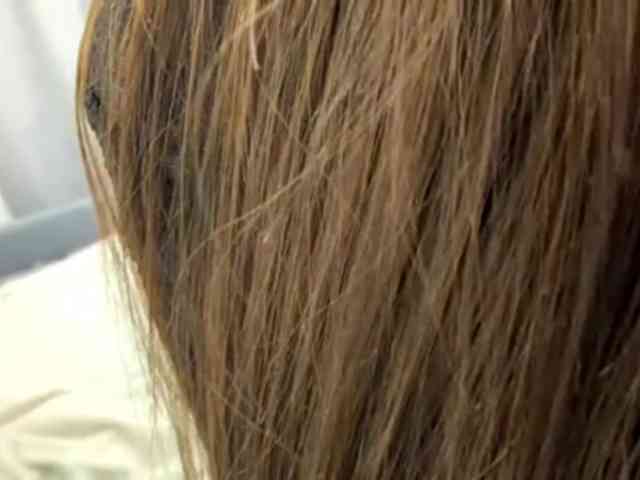 VernieWhitcher webcam