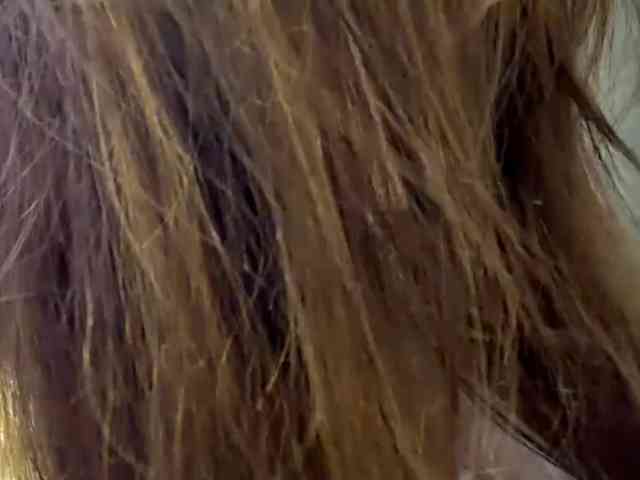 VernieWhitcher VernieWhitcher