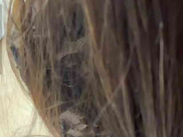 VernieWhitcher webcam