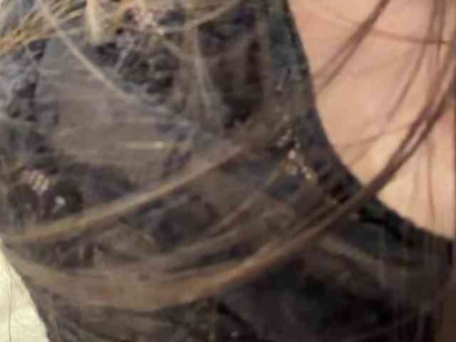 VernieWhitcher webcam