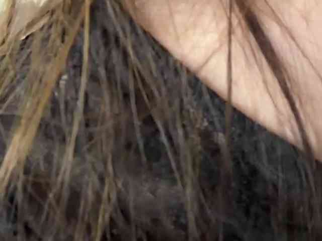 VernieWhitcher webcam