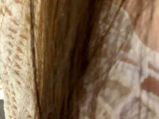 VernieWhitcher webcam