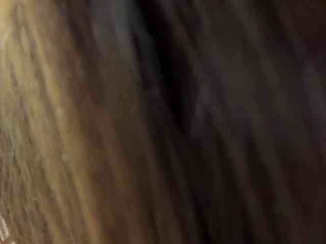 VernieWhitcher webcam