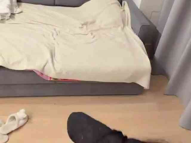 VernieWhitcher webcam